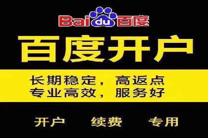 百度竞价包年服务：某行业领导品牌的成功故事